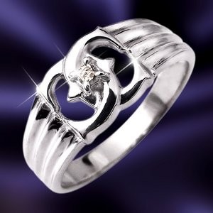 エックスダイヤリング 指輪　25号