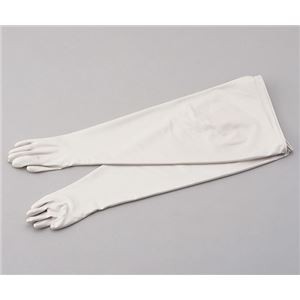 ハイパロン手袋DBGHY15/8-8.5 ベンチ、ドラフト関連品