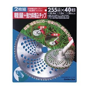 (まとめ) キンボシ GS 斜埋込チップソー 255mm 40枚刃 210429 1パック(2枚) 【×3セット】