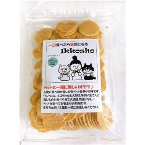 〔まとめ〕 ドッグフード ペットフード ペットと一緒に楽しいオヤツ 100g カルシウム味 10セット ドックフード ペット用品