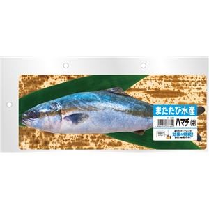 （まとめ） またたび水産 ハマチ （中） 【×2セット】 （猫用玩具）