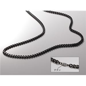 Phiten（ファイテン） 炭化チタンチェーンネックレス 65CM TC00