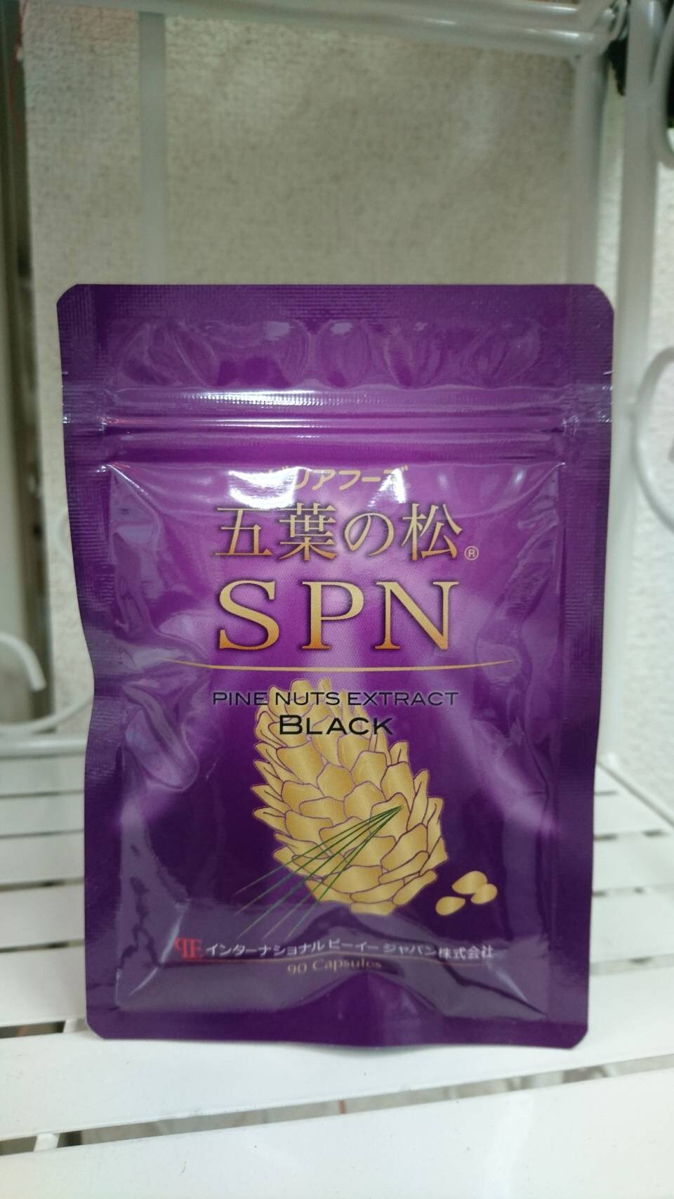 五葉の松 SPN   ブラック
