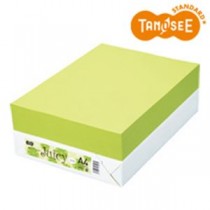 TANOSEE カラーペーパー Juicy ライム A4 500枚