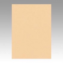 （まとめ） 文運堂 ニューカラーR 四ツ切 横392×縦542mm 4NCR-111 しらちゃ 100枚入 【×2セット】