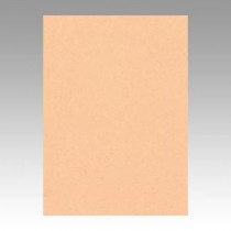 （まとめ） 文運堂 ニューカラーR 四ツ切 横392×縦542mm 4NCR-103 はだいろ 100枚入 【×2セット】
