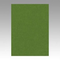 （まとめ） 文運堂 ニューカラーR 四ツ切 横392×縦542mm 4NCR-316 オリーブ 100枚入 【×2セット】