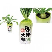 (まとめ)アーテック 自分大根 【×5セット】