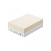（まとめ） TANOSEE αエコカラーペーパーII A4 ライトクリーム 1冊（500枚） 【×5セット】