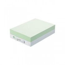 （まとめ） TANOSEE αエコカラーペーパーII B4 ライトグリーン 1冊（500枚） 【×5セット】