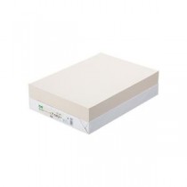（まとめ） TANOSEE αエコカラーペーパーII B4 アイボリー 1冊（500枚） 【×5セット】