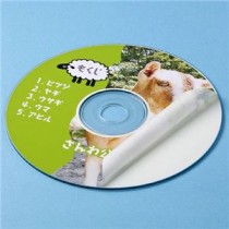 （まとめ）サンワサプライ インクジェットDVD／CDラベル（つやなしマット） LB-CDR001N【×10セット】