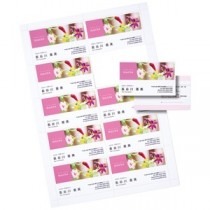 (まとめ)サンワサプライ インクジェット名刺カード・光沢(ミシン目、A4、10面、20シート200カード入り) JP-MC13K【×5セット】