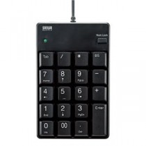 (まとめ)サンワサプライ USBテンキー NT-17UBKN【×2セット】