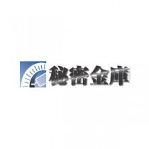 システックコア 秘密金庫HDDマイナンバーRAID版ファイル共有 SHS-005RADMY