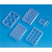 マルチディッシュ 150628 75入 培養容器