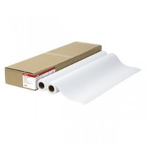 キヤノン スタンダード普通紙2 LFM-PPS2／A0／64 2本入 LFM-PPS2／A0／64