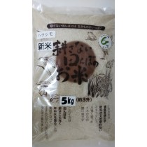 無農薬米　新米　岐阜初霜　5㎏×２= 10kg 