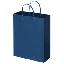 （まとめ） TANOSEE ラミネートバッグ 中縦タイプ 紺 1パック（10枚） 【×5セット】