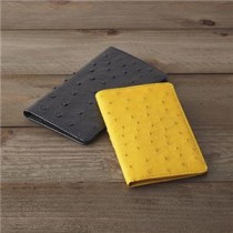 オーストリッチカードケース K21009660