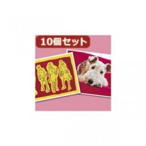 （まとめ）10個セットインクジェットプリンタ用紙・厚手（A6） JP-AGA6X10【×2セット】