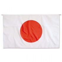 （まとめ）着る国旗 【×10個セット】