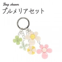 【2個セット】バッグチャーム プルメリアセット（マルチ）