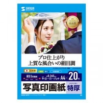 サンワサプライ インクジェット写真印画紙・絹目 JP-EP4NA4N