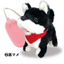 イワヤ リモコンでおさんぽキャンキャン柴犬(黒マメ)
