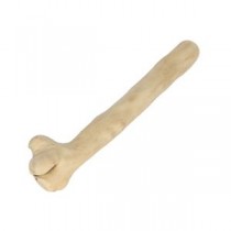 カフェウッド チャンプ L （ペット用品・犬用）