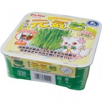 （まとめ）ネコの元気草【×5セット】 (猫用品)