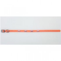 （まとめ）Wレザーカラー ボーン 2L オレンジ【×2セット】 (犬用品/首輪)