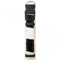 （まとめ）オーガニックカラーXSクレヨンブラック【×3セット】 (犬用品/首輪)