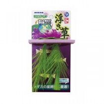 （まとめ）リトルガーデン 浮き草（ピンク）【×5セット】 (観賞魚/水槽用品)