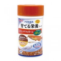 （まとめ）メダカ元気 育てる栄養フード 30g 熱帯魚用フード 【×10セット】