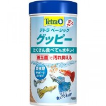 （まとめ）テトラ ベーシック グッピー 60g 熱帯魚用フード 【×5セット】