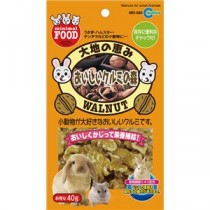 （まとめ）マルカン おいしいクルミの森 40g ハムスターフード 【×10セット】