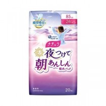ナチュラ朝あんしん吸水パッド85cc20枚24P
