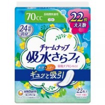 (まとめ) チャームナップ長時間快適用22枚 【×2セット】