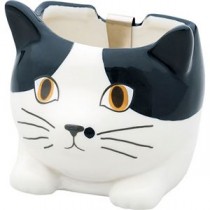 ミニかやり ハチワレ 10.6×9.7×9.9cm(スコティッシュ10.2×9.6×8.5cm) B1009537