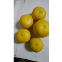 晩白柚(バンペイユ)4kg