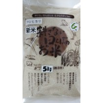 無農薬米(新米)コシヒカリ5k×２＝10k