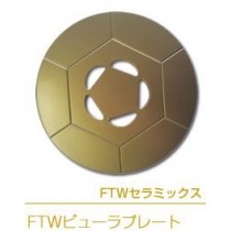 FTWフィオーラビューラープレート