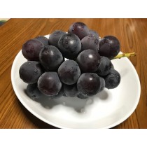 栃木県産ぶどう ピオーネ2Kg