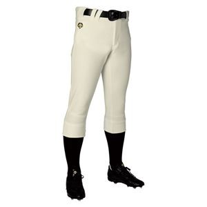 デサント（DESCENTE） ユニフィットパンツ レギュラーフィットパンツ （野球） DB1019P Sアイボ S