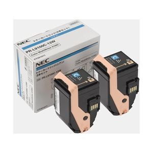 NEC トナーカートリッジ シアン 型番：PR-L9100C-13W 印字枚数：4500枚×2個 単位：1箱（2個入り）