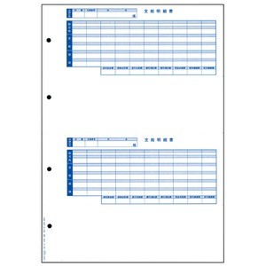 オービックビジネスコンサルタント 奉行シリーズ用専用 単票封筒用明細書 6202