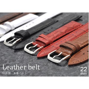 【腕時計用ベルト2本組】本革バンド　クロコダイル柄型押し22mmホワイト
