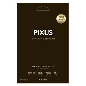 （まとめ） キヤノン Canon純正プリンタ用紙 写真用紙・光沢 プロ（プラチナグレード） PT-2012L30 30枚入 【×2セット】