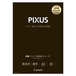 （まとめ） キヤノン Canon純正プリンタ用紙 写真用紙・光沢 プロ（プラチナグレード） PT-201A320 20枚入 【×2セット】